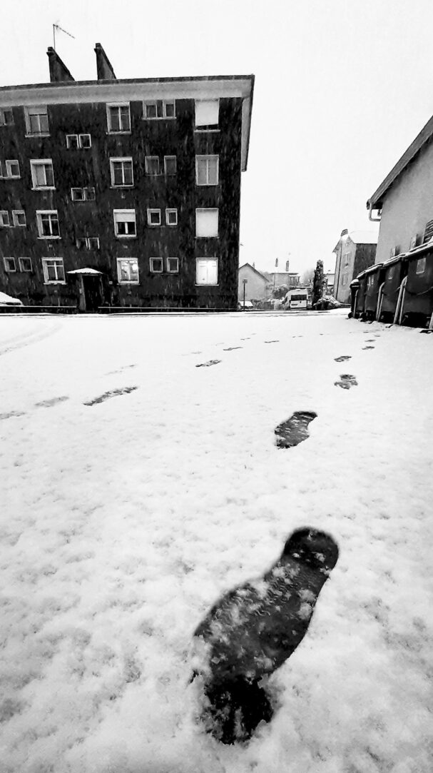 486610451_1394835448624905_7758136092721341752_n-1 copie