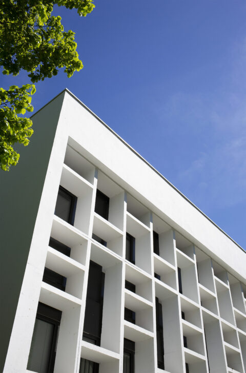 sq-1