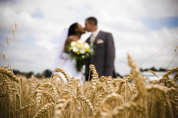 _ART1897 copie-1 copie